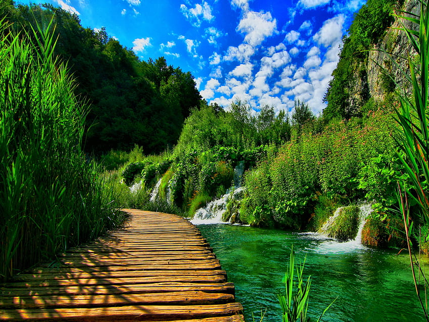 Incredible And Stunning Nature Hd Wallpaper Pxfuel