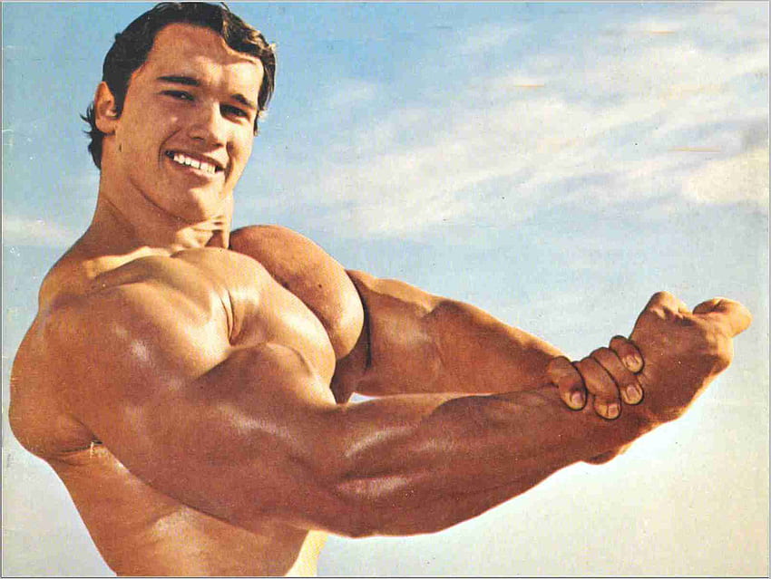 Terbaik dari 20 arnold schwarzenegger, Arnold Bodybuilding Wallpaper HD