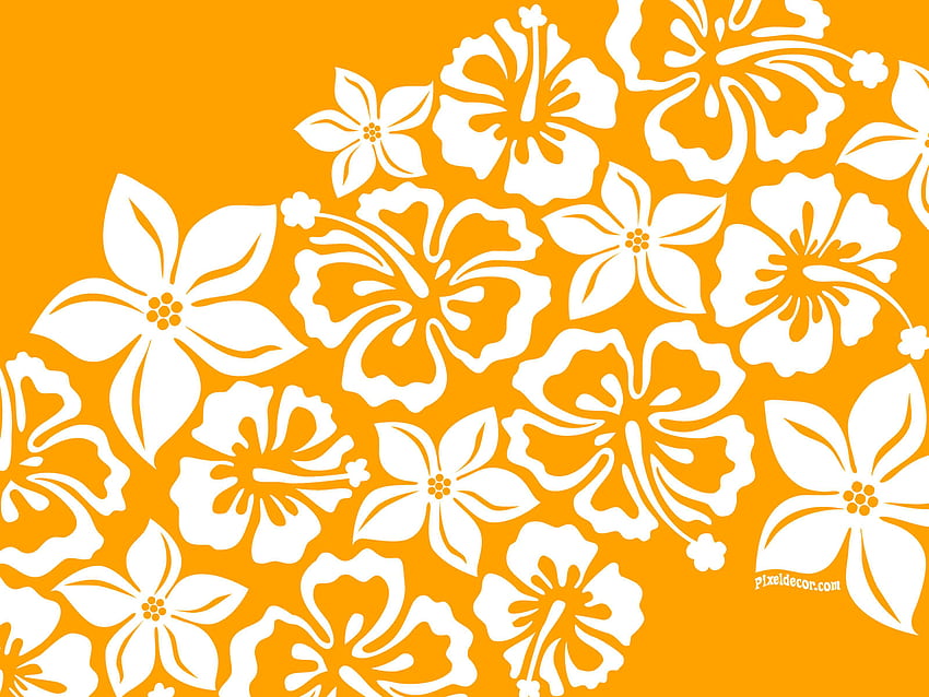 Hawaiian Themed, Hawaiian Luau HD wallpaper