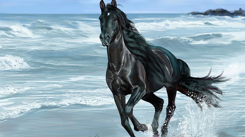 Seni Lukis Kuda Hitam Berlari Di Pantai - Black Horse On Wallpaper HD