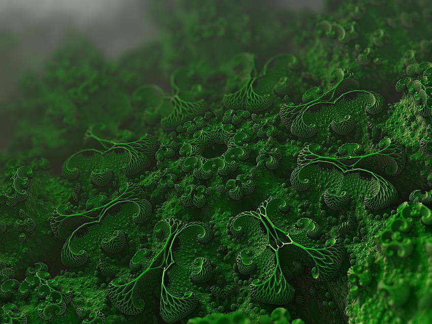 3D, Hücreler, Bakteriler, Mikroorganizmalar, Mikroskobik, Mikrobiyoloji HD duvar kağıdı