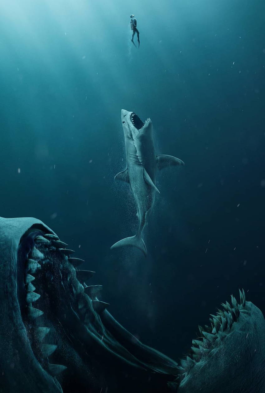 megalodon, Megalodon Shark HD phone wallpaper