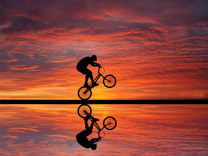 Cycling on a beach, sea, cycle, sunset, beach HD wallpaper
