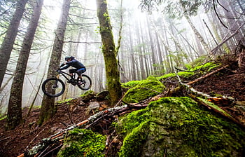 Best mtb online trail