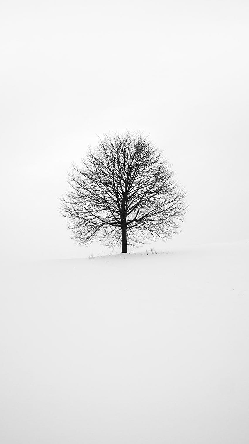 x Negeri Ajaib Musim Dingin iPhone Xs . Hitam dan putih, Winter White Tumblr wallpaper ponsel HD