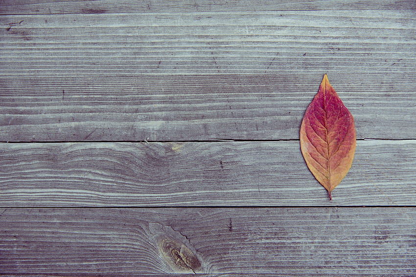 Brązowy liść na brązowej drewnianej powierzchni · , czerwony i brązowy Tapeta HD