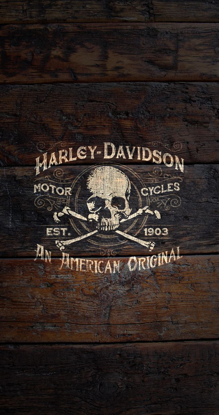 Portada. Ricette Pesce?. Harley Davidson, Harley Davidson Poster, Harley Davidson Kunst, Harley Davidson Vintage HD-Handy-Hintergrundbild