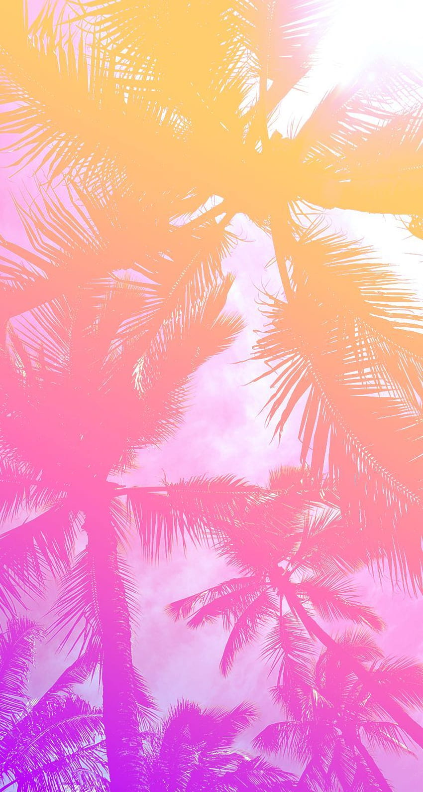 iPhone . Tree, Palm tree, Leaf, Pink, Orange, Arecales HD phone wallpaper