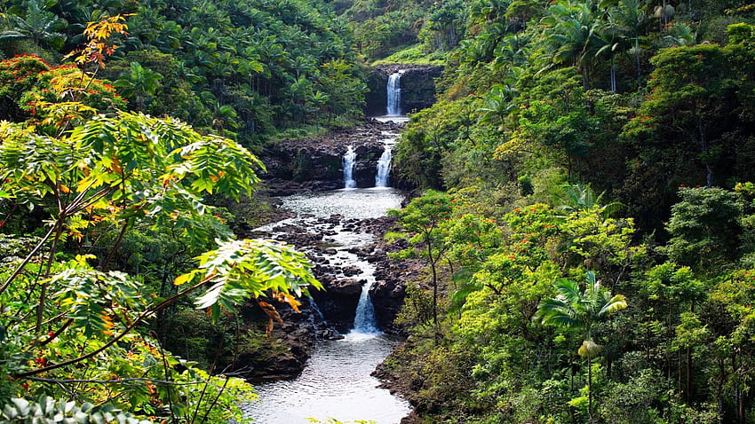 Umauma Falls, Hawaii, river, plants, cascades, trees, bushes, rocks, usa HD wallpaper