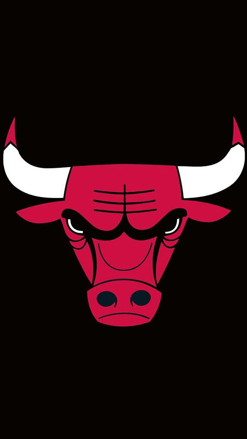 Bulls Chicago HD phone wallpaper | Pxfuel