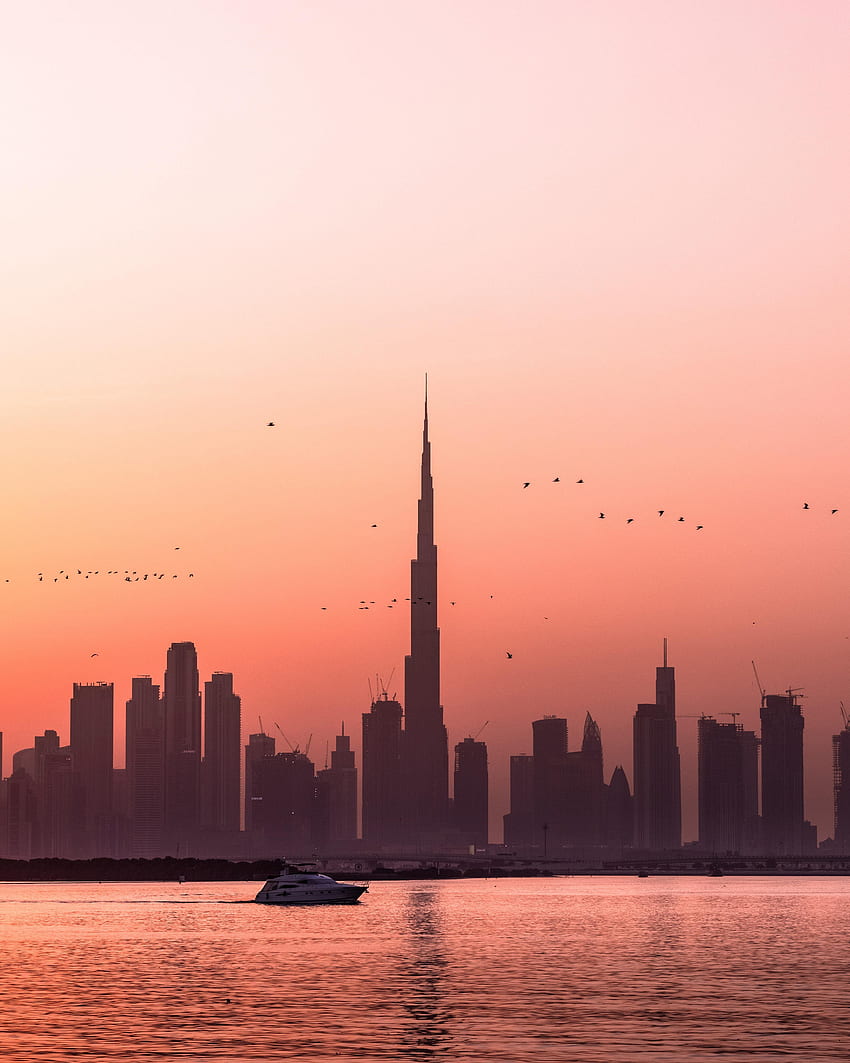 Städte, Vögel, Wasser, Sonnenuntergang, Stadt, Gebäude, Boot HD-Handy-Hintergrundbild