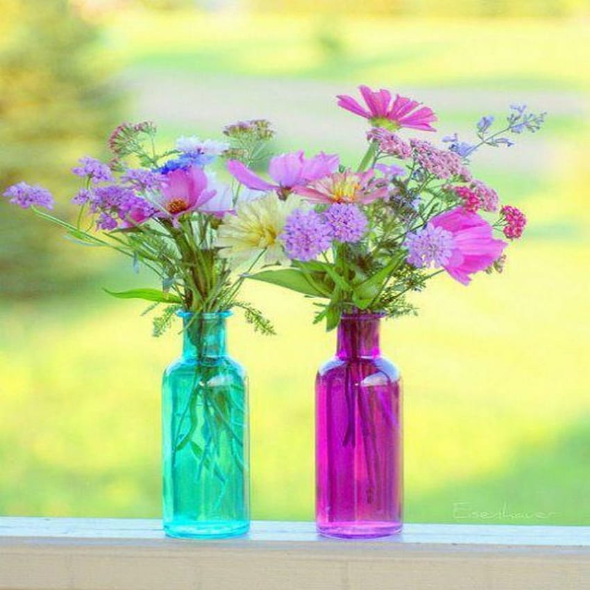 kolorowy, okno, kwiat, dziki, butelka Tapeta HD