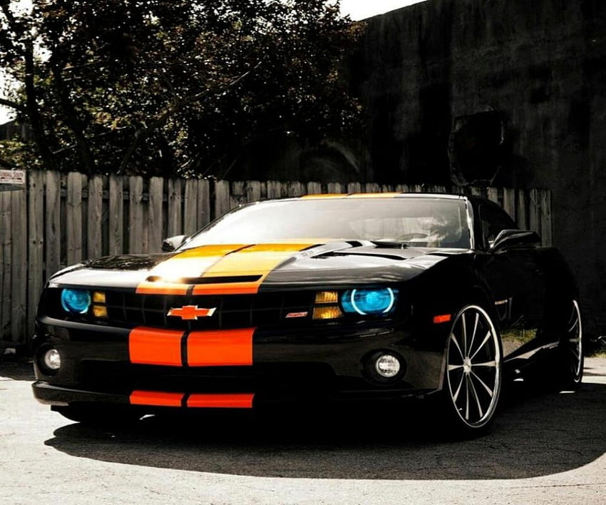 One Hot Camaro, american muscle, muslce car, black camaro HD wallpaper