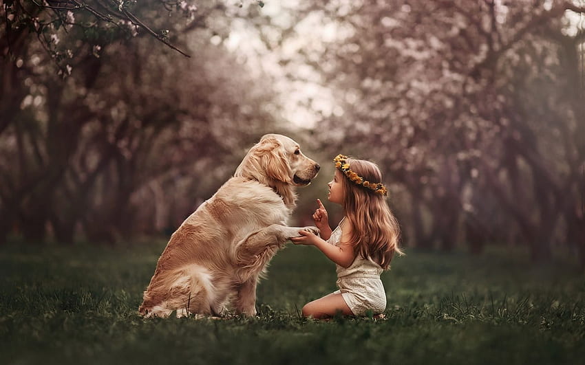 Cute little girl and dog, wreath, meadow , Girl With Dog HD wallpaper
