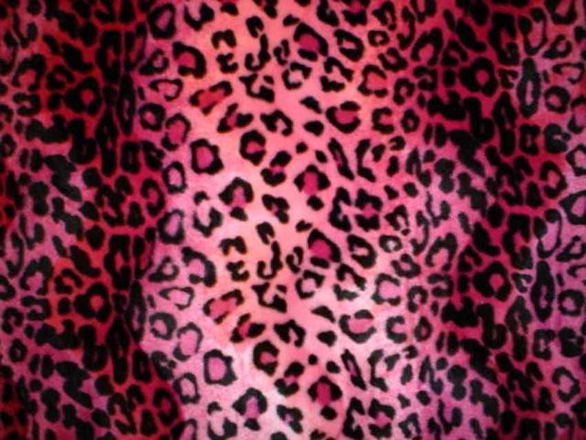 Animal Print Background. Leopard print , Animal print , Cheetah print, Pink  Animal Print HD wallpaper | Pxfuel