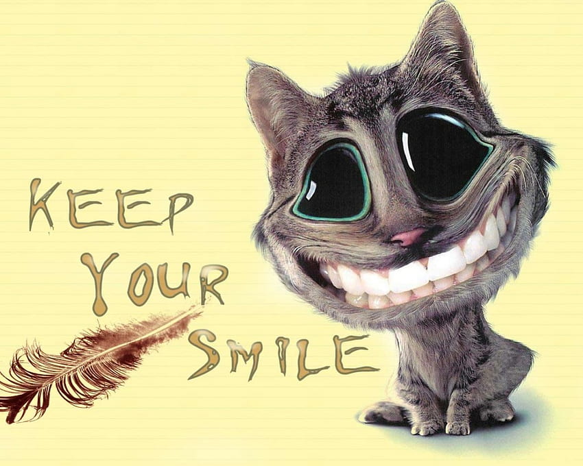 Cat - Keep Your Smile, teeth, cat, smile HD тапет