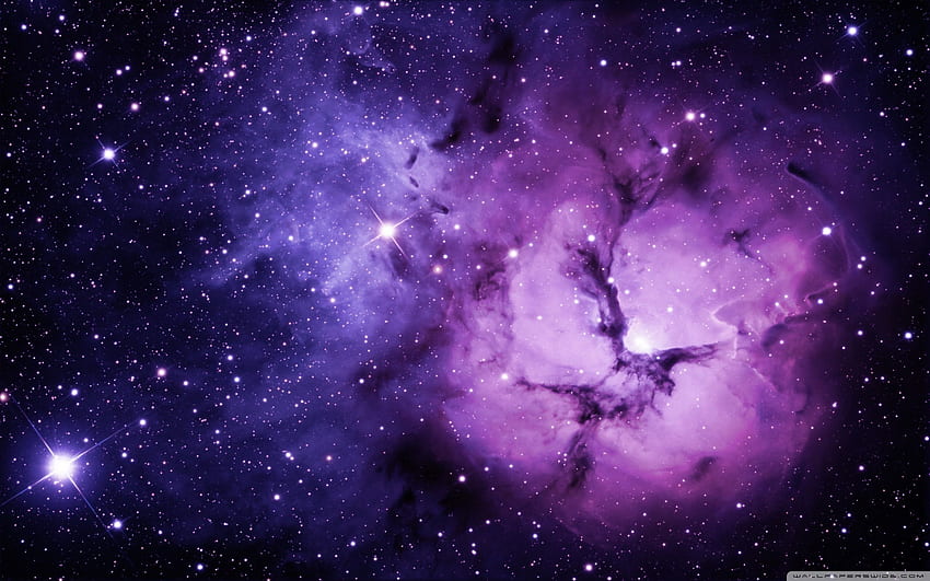 Love Purple Galaxy on ..dog HD wallpaper | Pxfuel