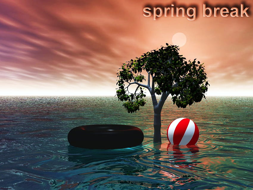 Spring break backgrounds group HD wallpapers  Pxfuel