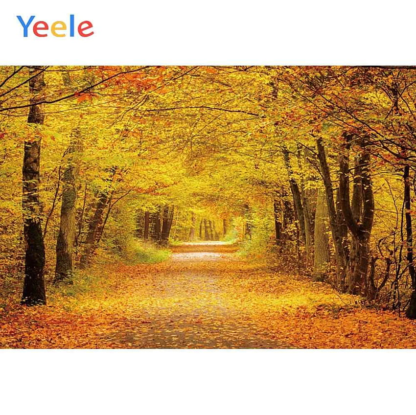 Yeele otoño bosque camino paisaje boda personalizado graphy telones de gráfico para estudio fondo de pantalla