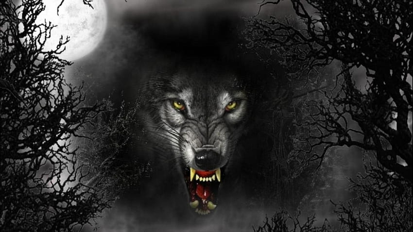 evil wolves | Cruel Wolf, dark, evil, eyes, full moon, vicious HD wallpaper