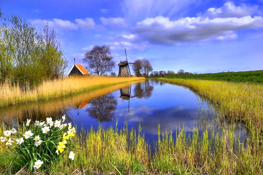 Schönheit der Natur, kühl, Windmühle HD-Hintergrundbild