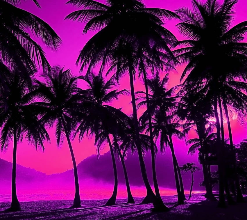 Лилави палми, лилаво палмово дърво HD тапет