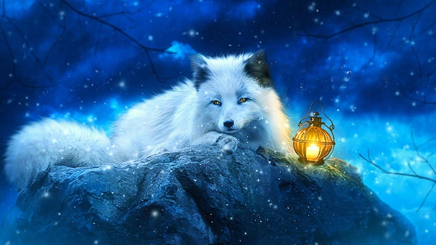 Arctic Fox Girl 4 by Kayababe on DeviantArt