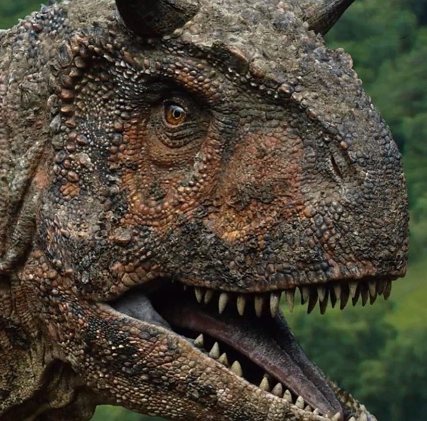 Mundo jurásico Fallen Kingdom Carnotaurus. mundo del parque jurásico fondo de pantalla