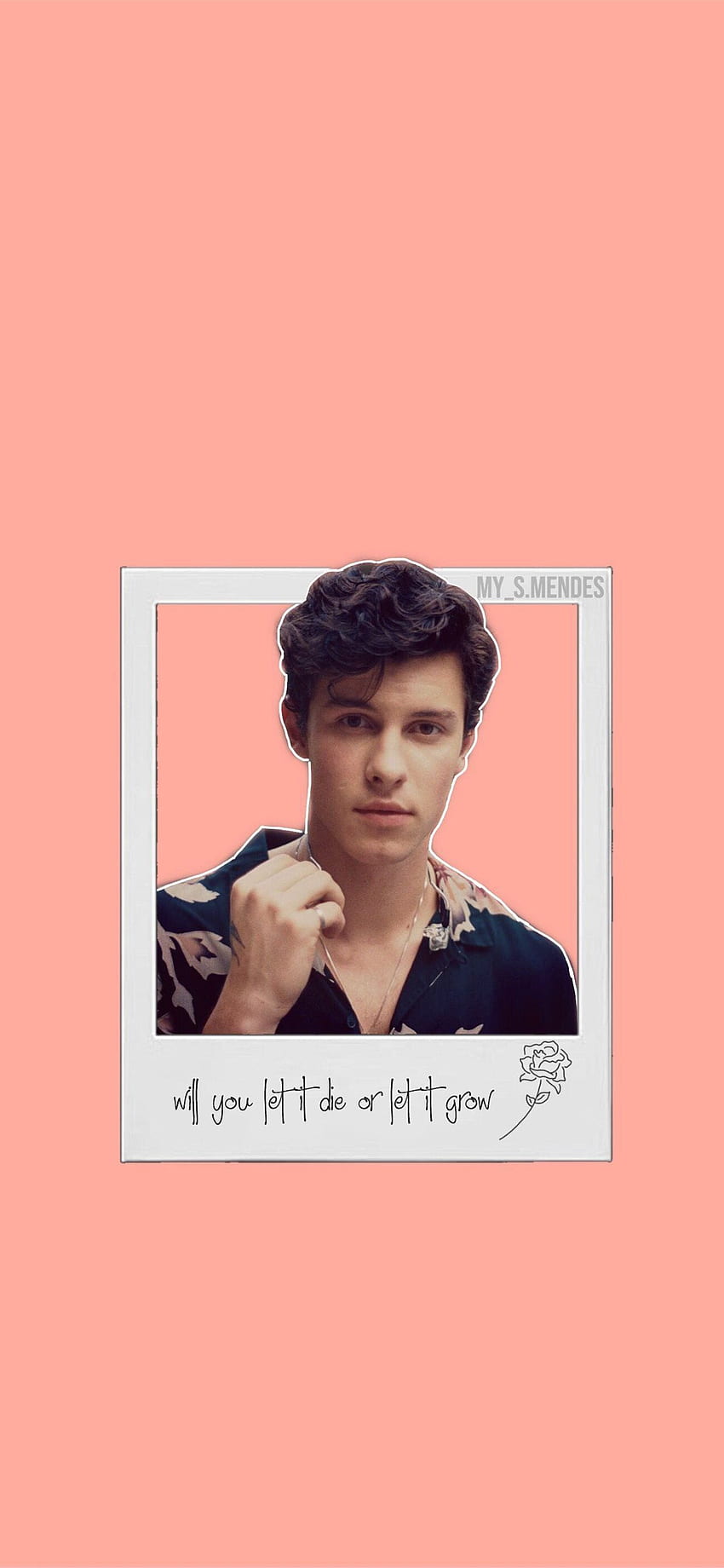 Follow me on instagram my s mendes shawnmendes iPhone 11 HD phone wallpaper