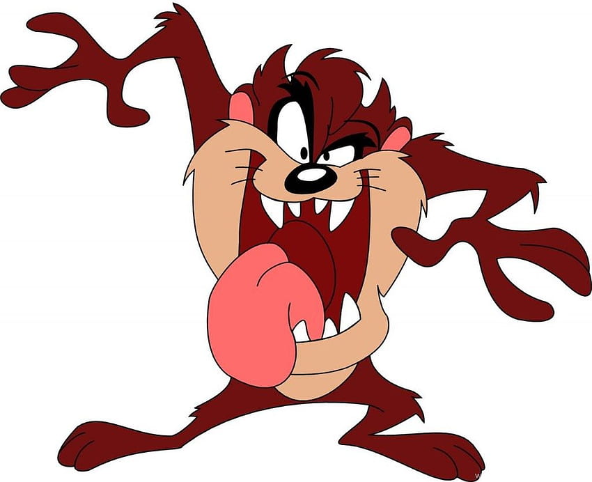 Looney Tunes Tasmanischer Teufel - Tasmanisch, Taz HD-Hintergrundbild