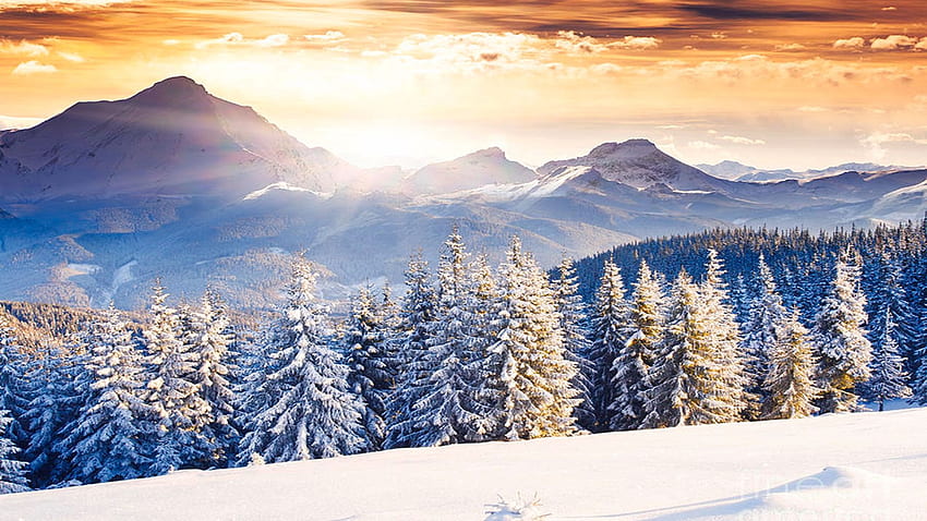Fantastic Evening Winter Landscape, hills, snow, colors, trees, landscape, sky, forest, mountains, clouds HD wallpaper