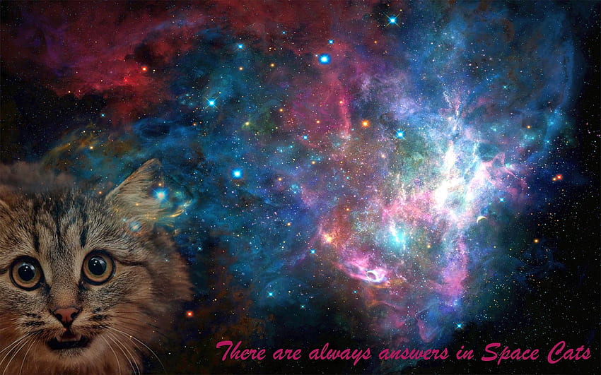Kucing Luar Angkasa Kucing Galaxy - Resolusi:, Galaksi Kucing Menakjubkan Wallpaper HD