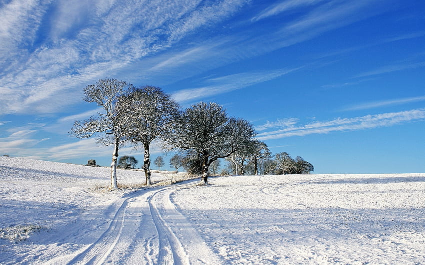 Landscape, Winter HD wallpaper