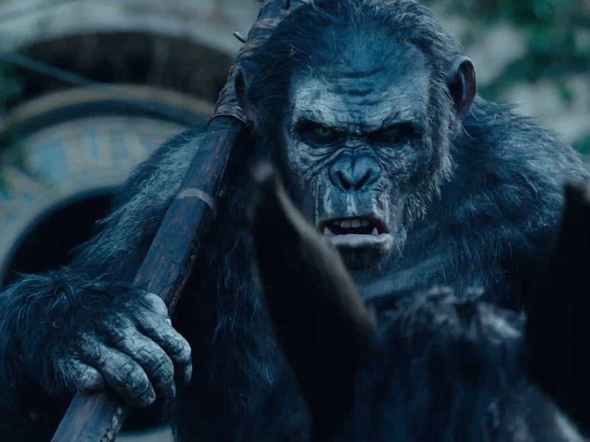Dawn of the Planet of the Apes Movie of Gorilla HD wallpaper