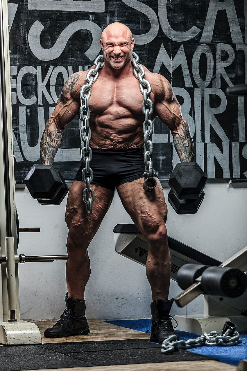 Bodybuilding Photos Download The BEST Free Bodybuilding Stock Photos  HD  Images