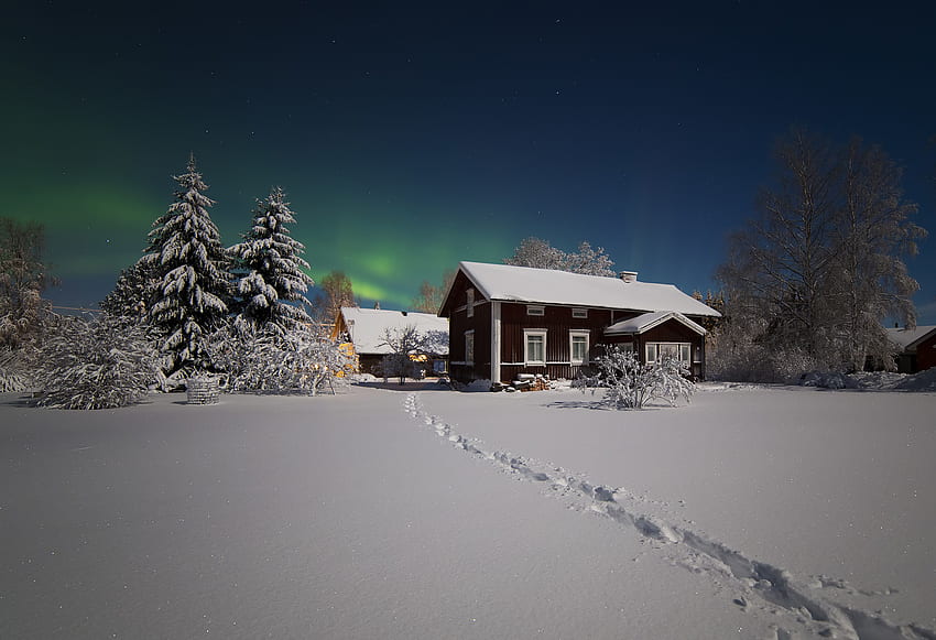 Inverno, natura, alberi, neve, casa, aurora boreale, aurora boreale Sfondo HD