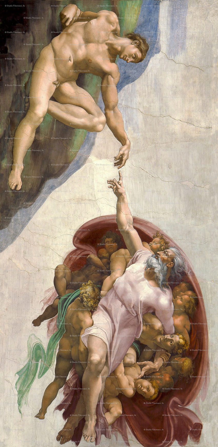 Erschaffung Adams - Gemalt von Michelangelo, Die Erschaffung Adams HD-Handy-Hintergrundbild