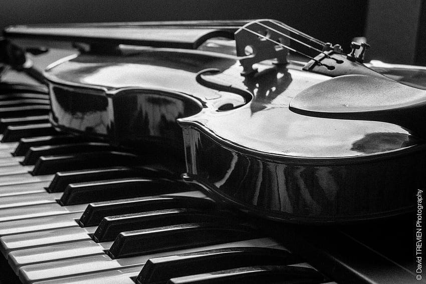 Пиано и цигулка черно и бяло. Графика на цигулка, цигулка, графика на пиано, винтидж цигулка HD тапет