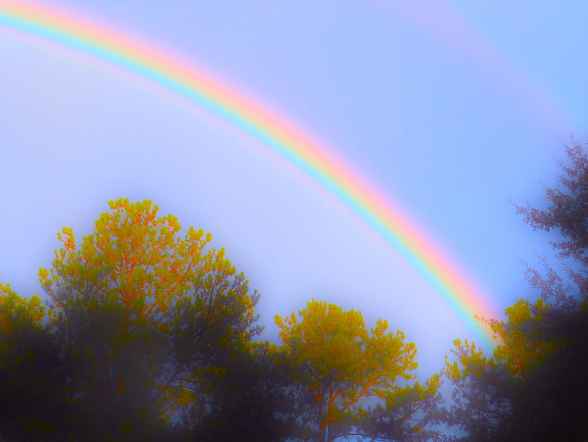 arco-íris fora de casa, árvores, céu, natureza, arco-íris papel de parede HD
