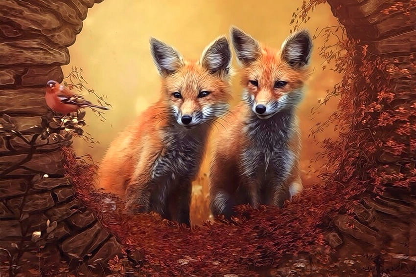 Curious Foxes, sweet, Foxes, digital, seasonal, autumn, cute, Den HD wallpaper