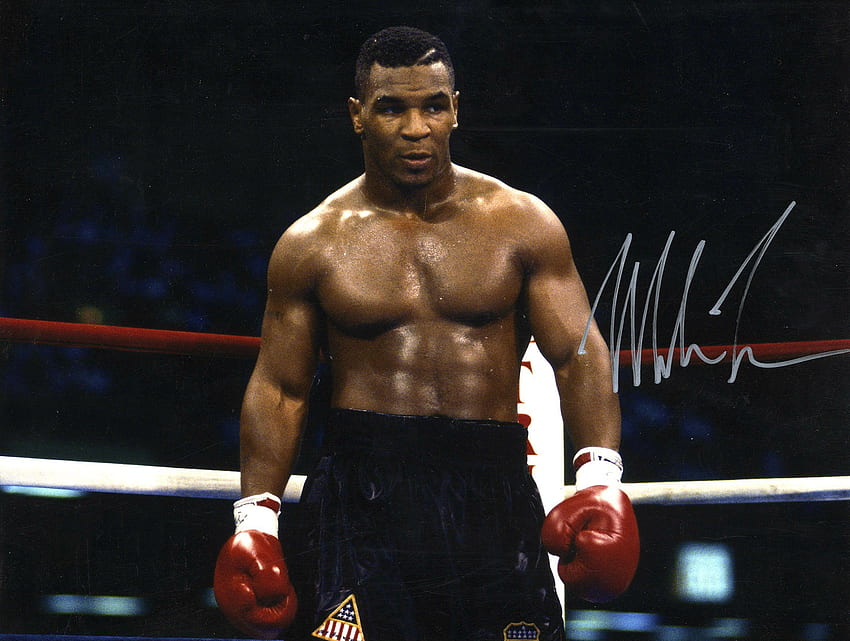 Boxeo Mike Tyson Knockout fondo de pantalla