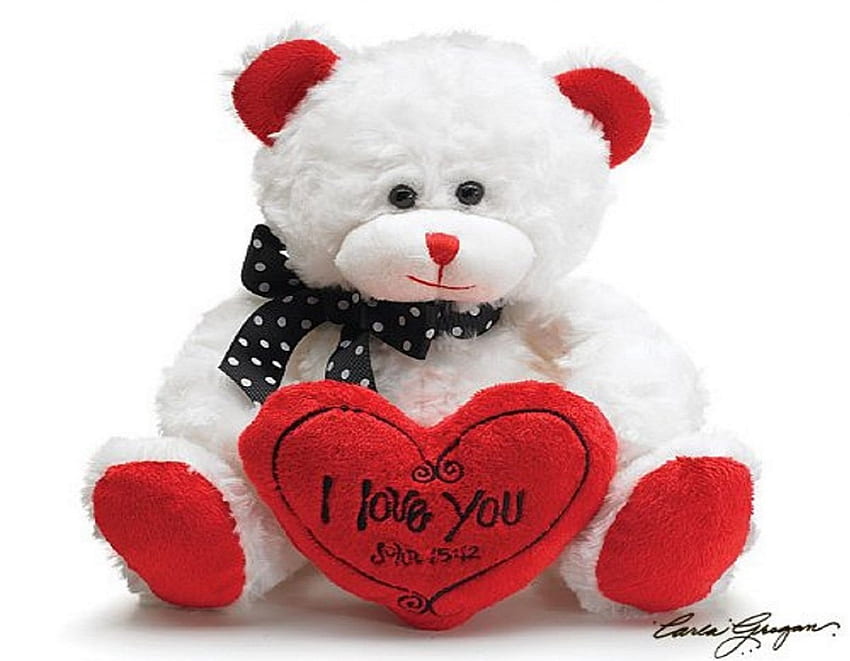 Valentine - I Love You, holidays, white, beloved valentines, Valentines, cute, love four seasons, teddy bear, love, red, heart, lovely HD wallpaper