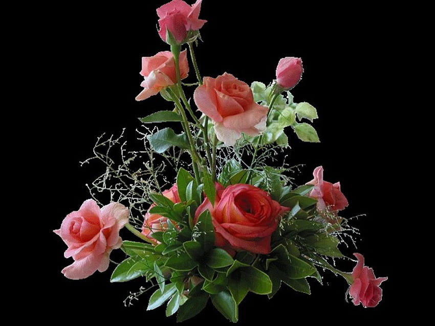 Bukiet róż, róża, różowy, czarny, bukiet, kwiat Tapeta HD