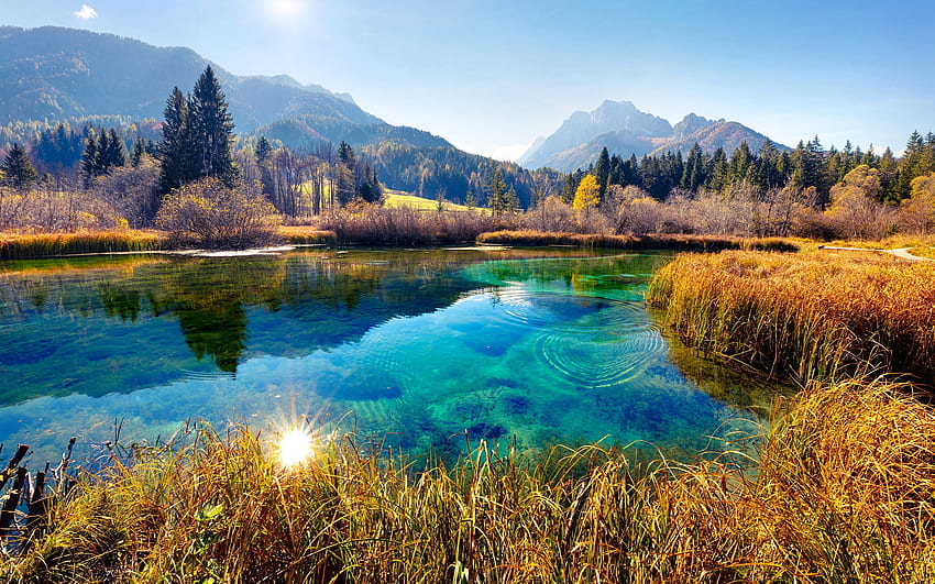 Zelenci natural reserve, autumn, beautiful, grass, Slovenia, lake, mountain, rays, fall, national park, reflection, sun HD wallpaper