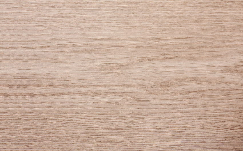tekstur kayu ringan, latar belakang kayu, alami Wallpaper HD
