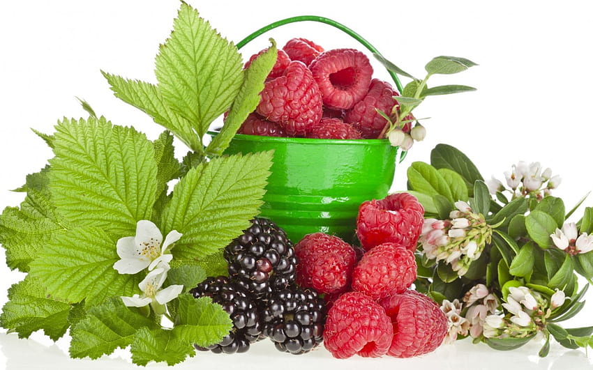 *** Berries ***, owoce, jedzenie, jagodowe, wiaderko HD wallpaper