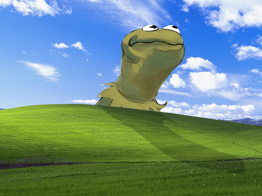 이것은 내가 가장 좋아하는 것입니다. Bliss Windows XP 커밋, 개구리 커밋 HD 월페이퍼
