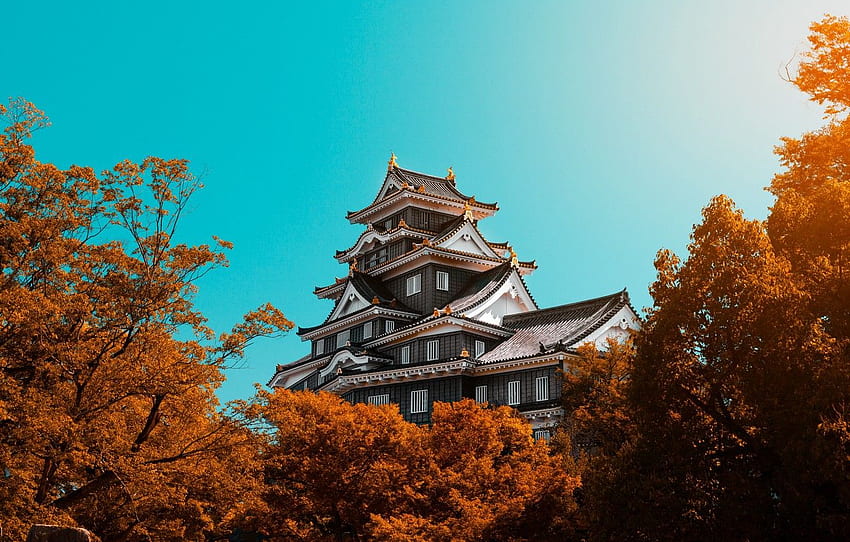 Japan, trees, autumn, landscapes, blue sky, architecture, building, pagoda, ultra background, Okayama Castle for , section пейзажи HD wallpaper