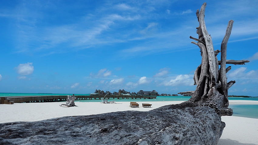 Soneva Jani: Dentro de un resort exclusivo de Maldivas fondo de pantalla