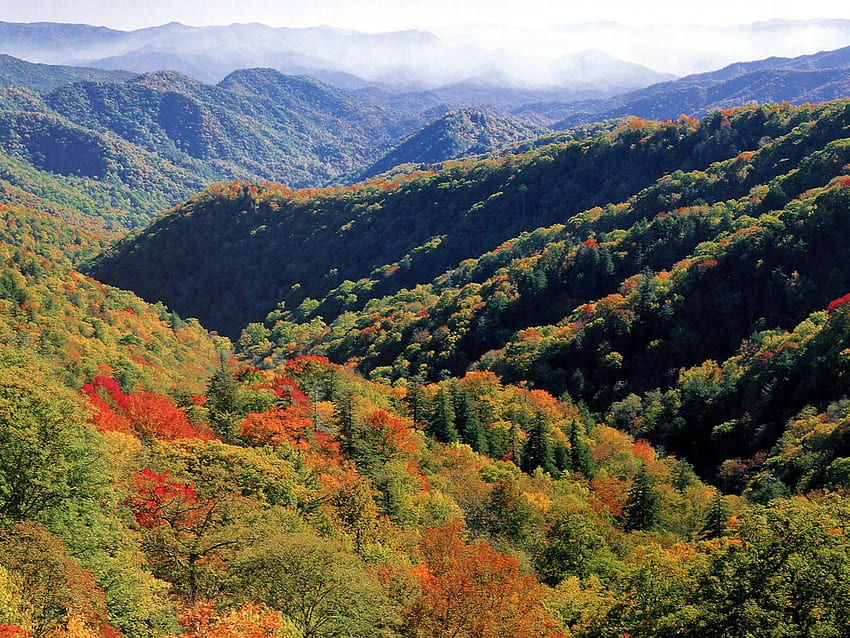 North Carolina Great Smoky Mountains - Were The Smoky Mountains Formed - -, Great Smoky Mountains National Park HD wallpaper